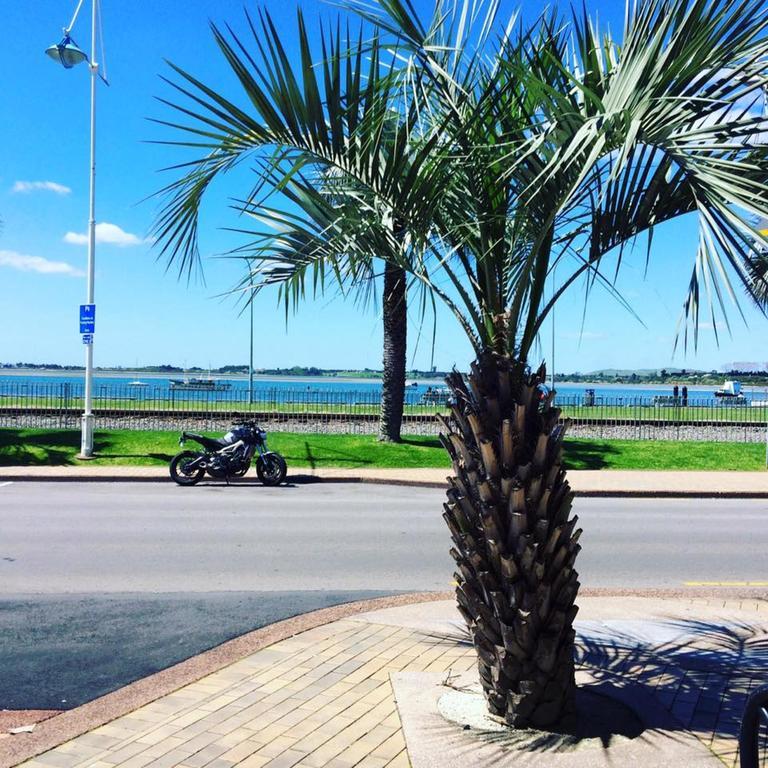 Harbourside City Backpackers Tauranga Exterior photo